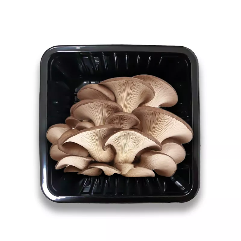 Mushroom Plastic Tray