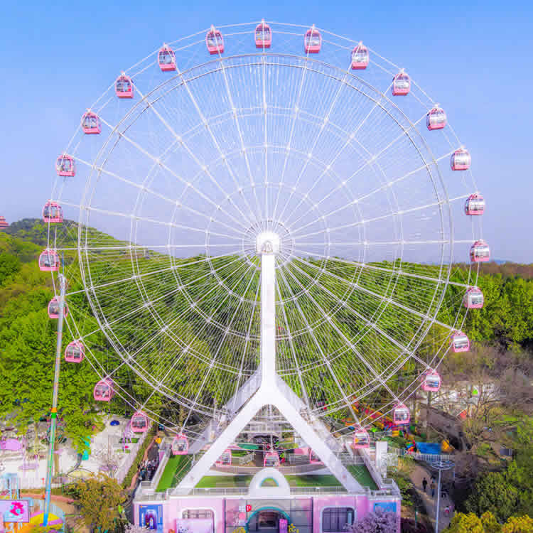 Ferris Wheel HFMT50-2