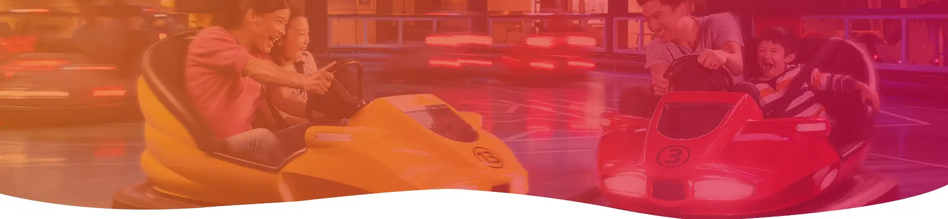 Ceiling bumper cars for sale