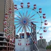 30m Observation Ferris Wheel for Sale