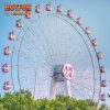 65m Ferris Wheel Rides for Sale
