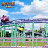 crazy mouse roller coaster Rides for sale